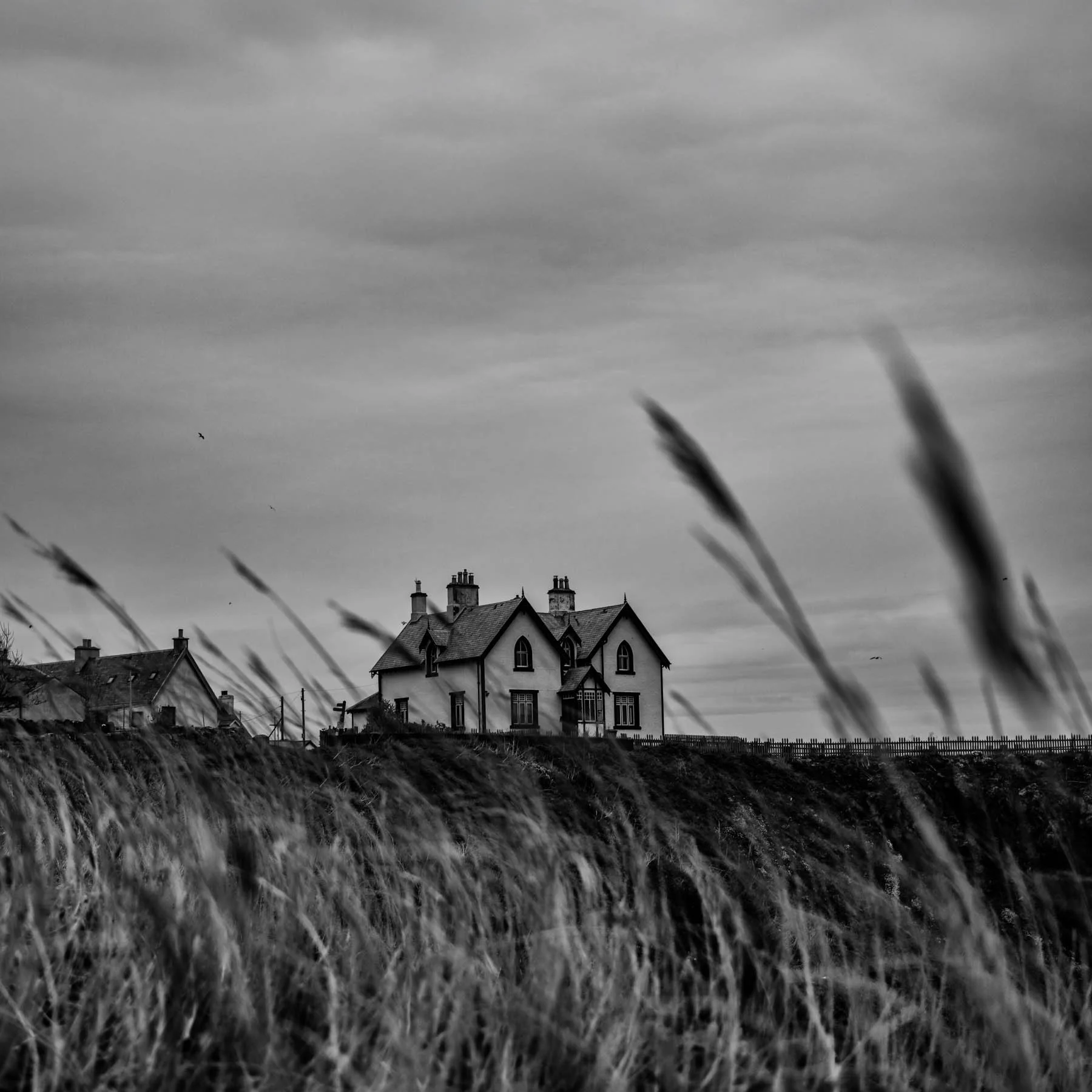 Square-format black and white photo of a solitary house perched on a coastal cliff, partially obscured by tall windswept grass under a soft, overcast sky.