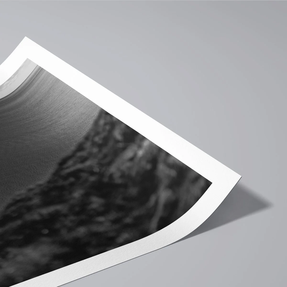Black and white detail of a fine art print with a gently curved paper corner revealing surface texture and border.
