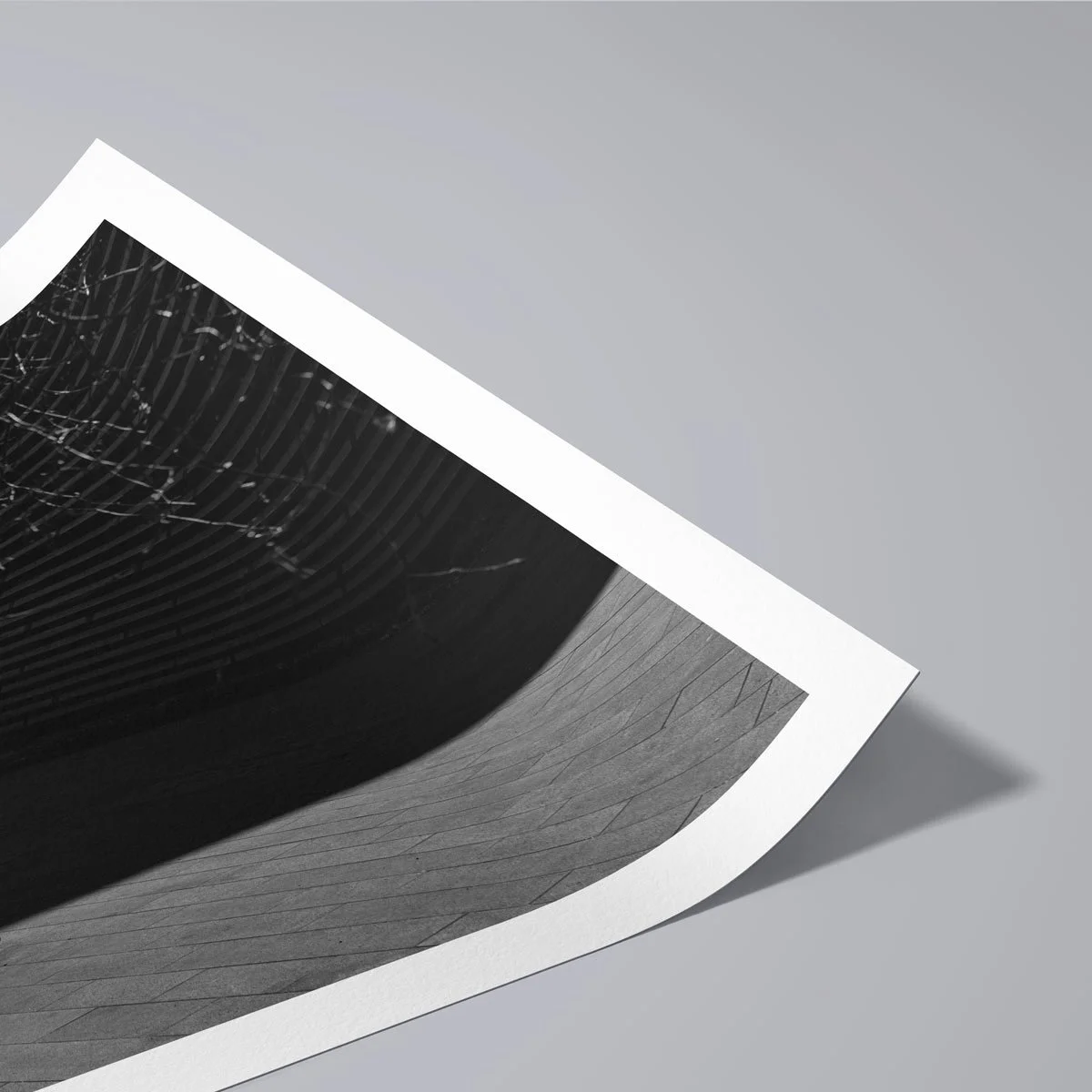 Trace — Paper Corner Study.jpg