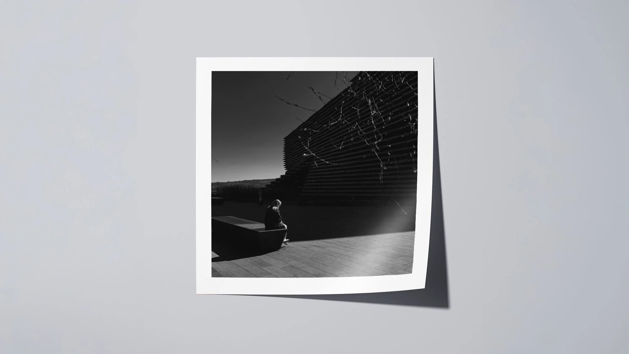 Trace — Frontal Edition.jpg