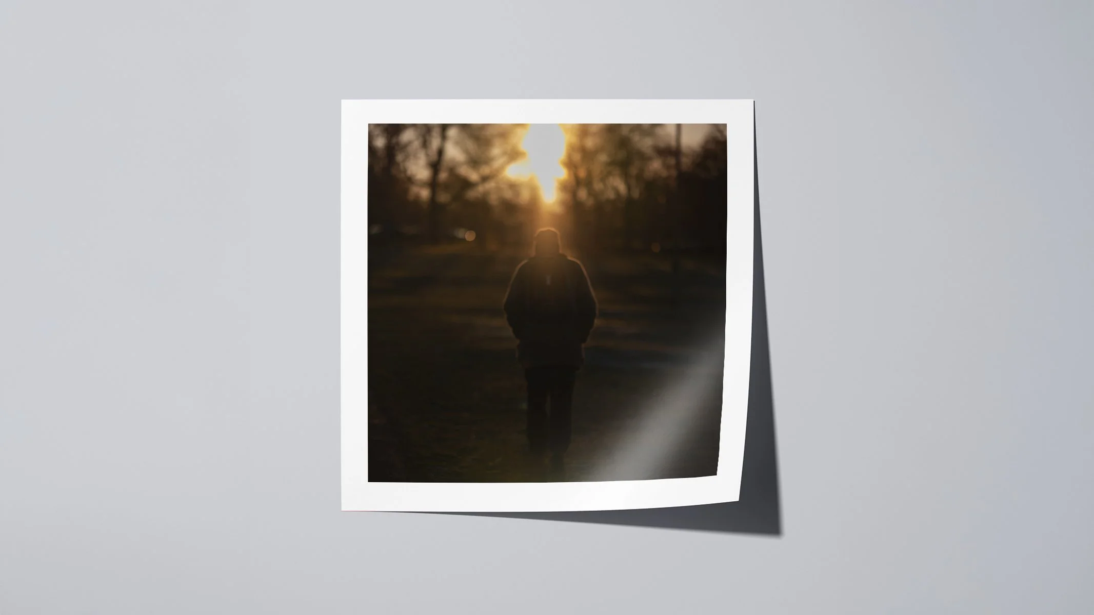 Wide format view of PASSER, a fine art photograph captured in Edinburgh Meadows with a lone figure silhouetted against soft sunset light.