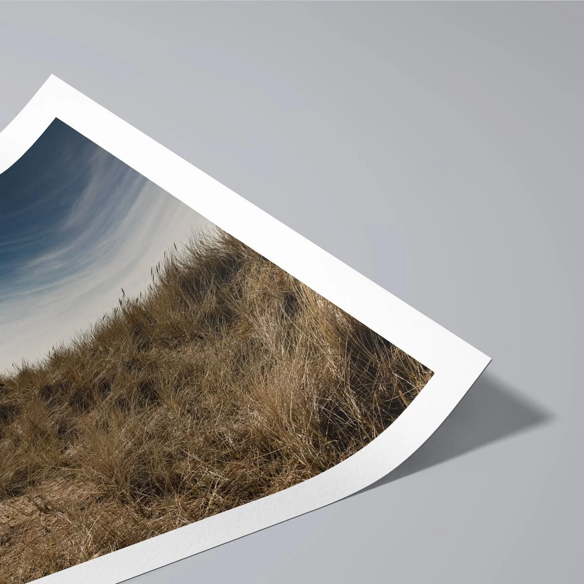 Close-up of a fine art print with a gently curved edge, revealing textured paper and a coastal dune landscape.