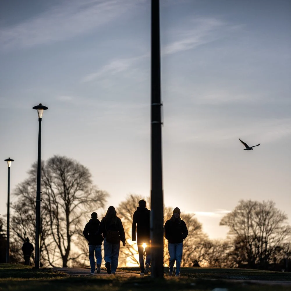 People walking past one another on a hill at sunset, silhouetted against the evening sky, with street lamps, bare trees and a bird flying overhead, captured in a minimalist urban street scene.
