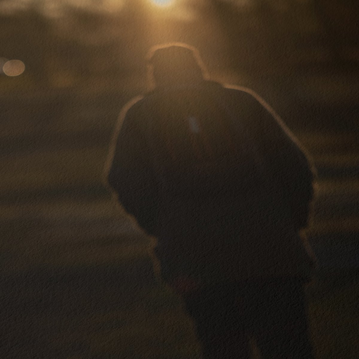 Close detail of PASSER fine art print highlighting intentional soft focus, warm light, and subtle tonal transitions.