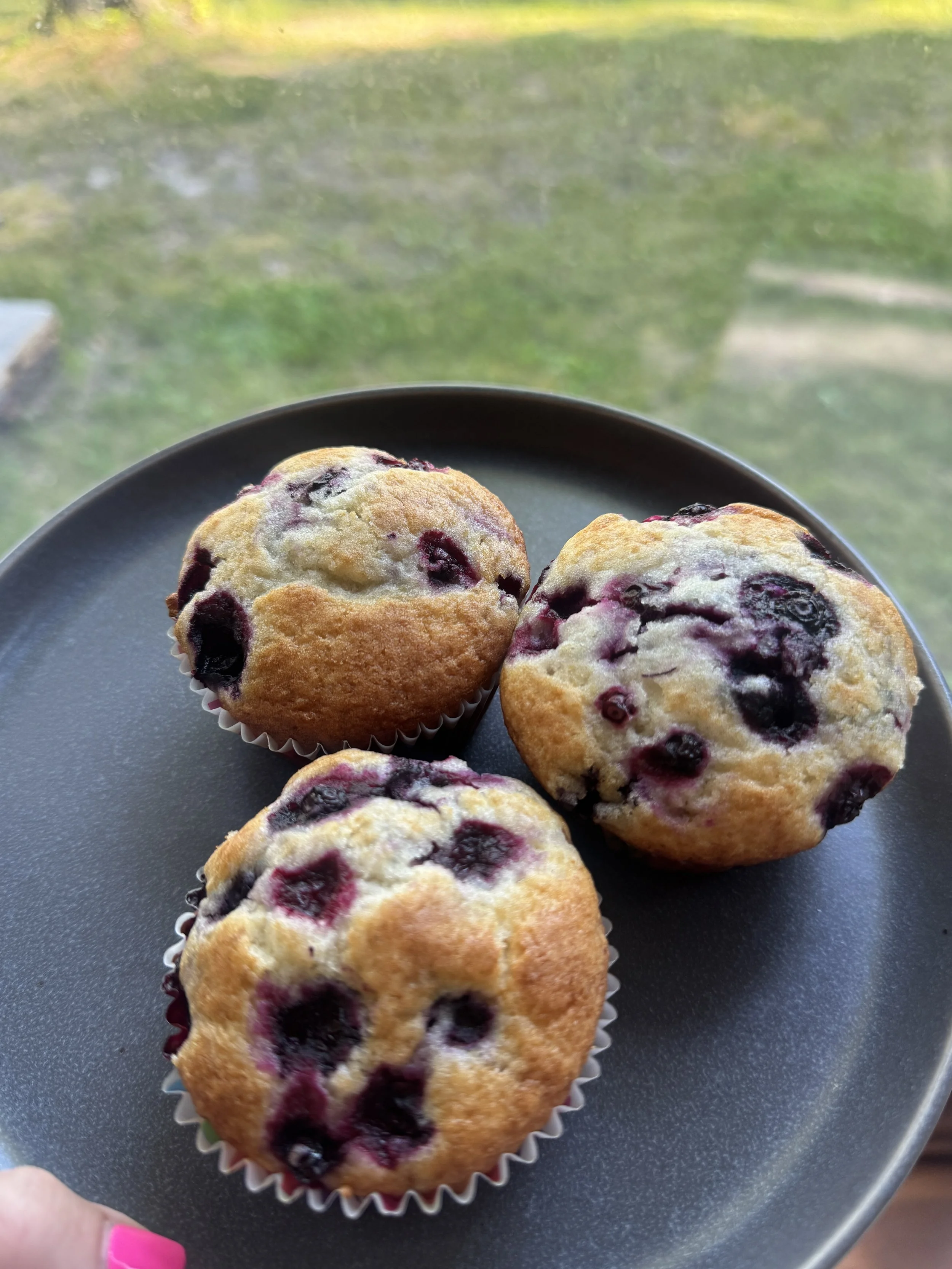 Huckleberry Muffins