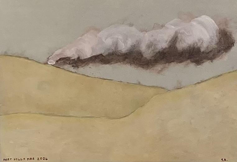 Port Hills Fire 2024 II.png