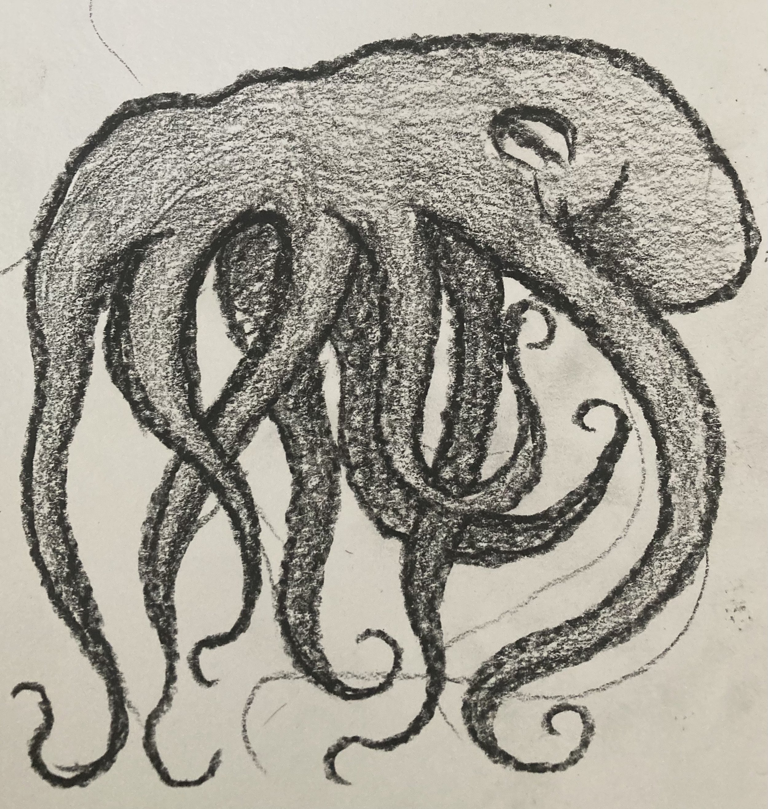 Octopus: Graphite on paper