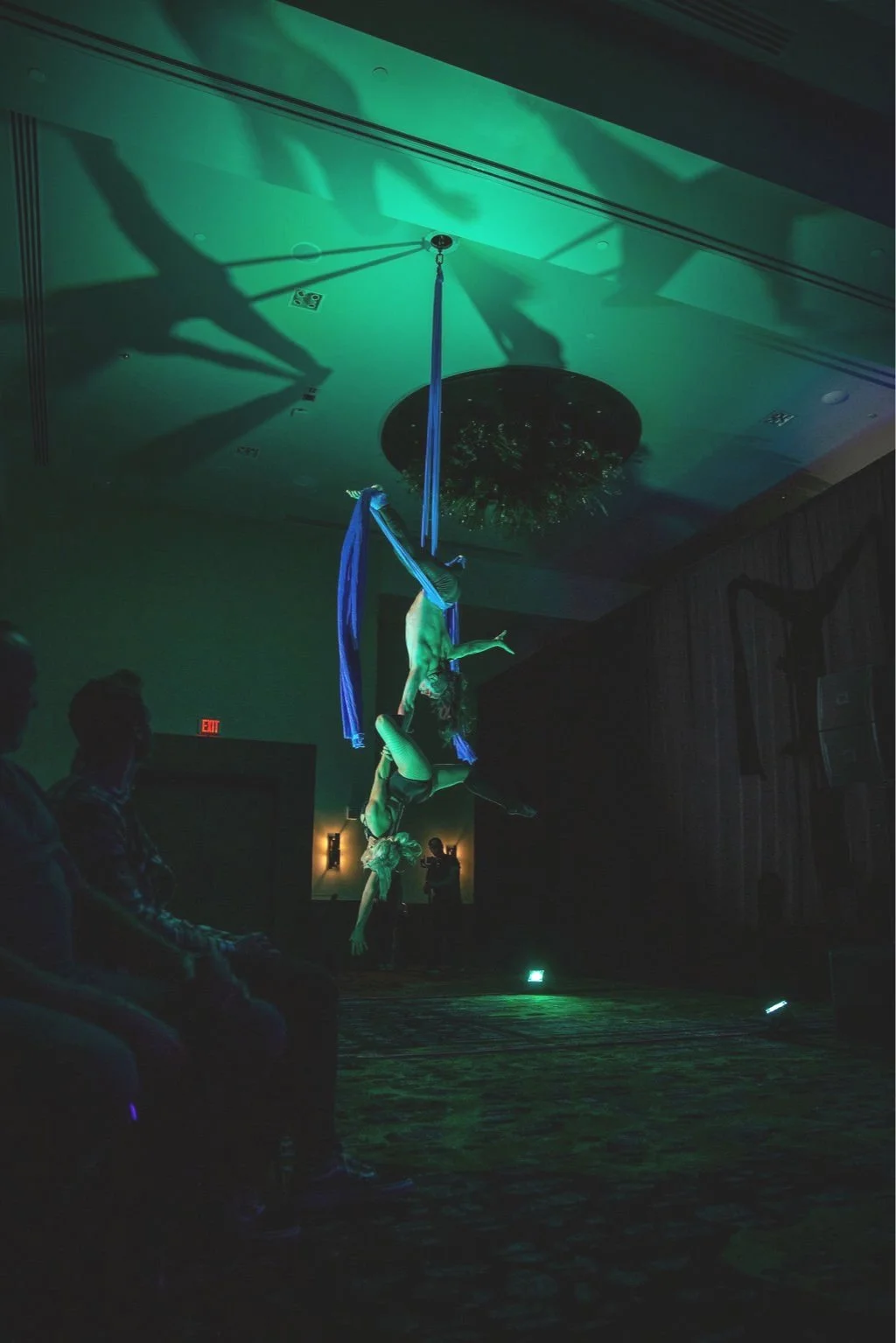 male and female aerialist performers