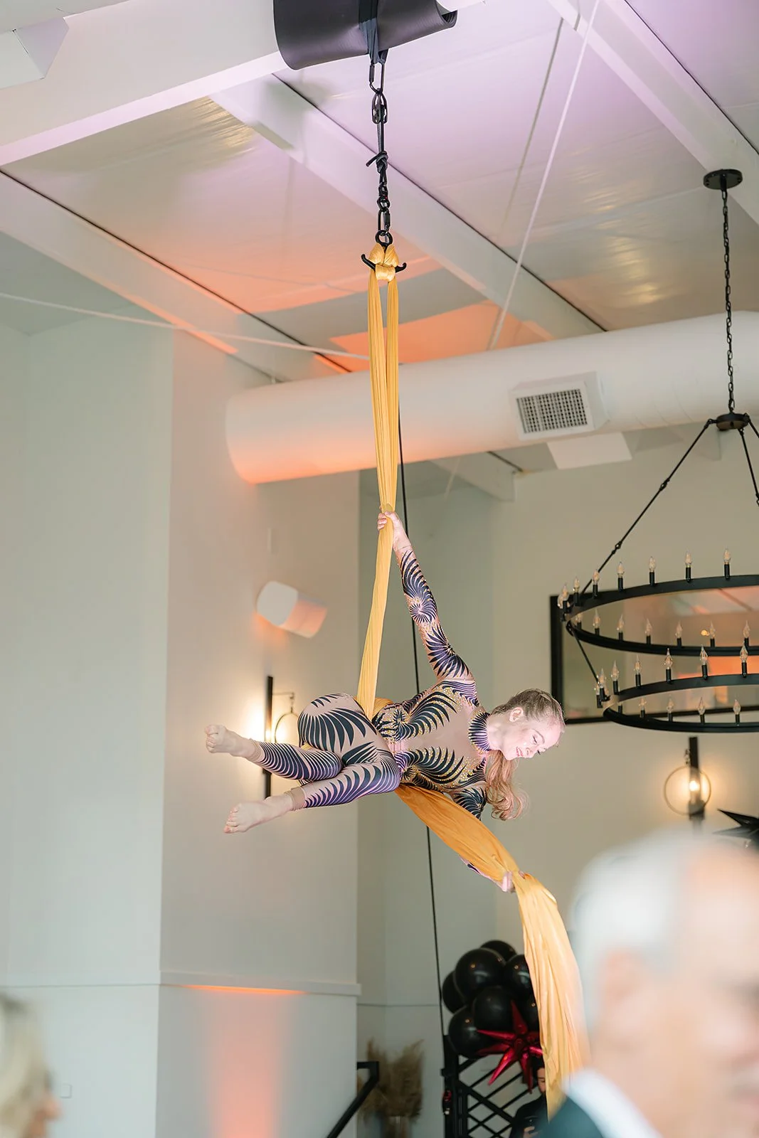 Aerial Silks