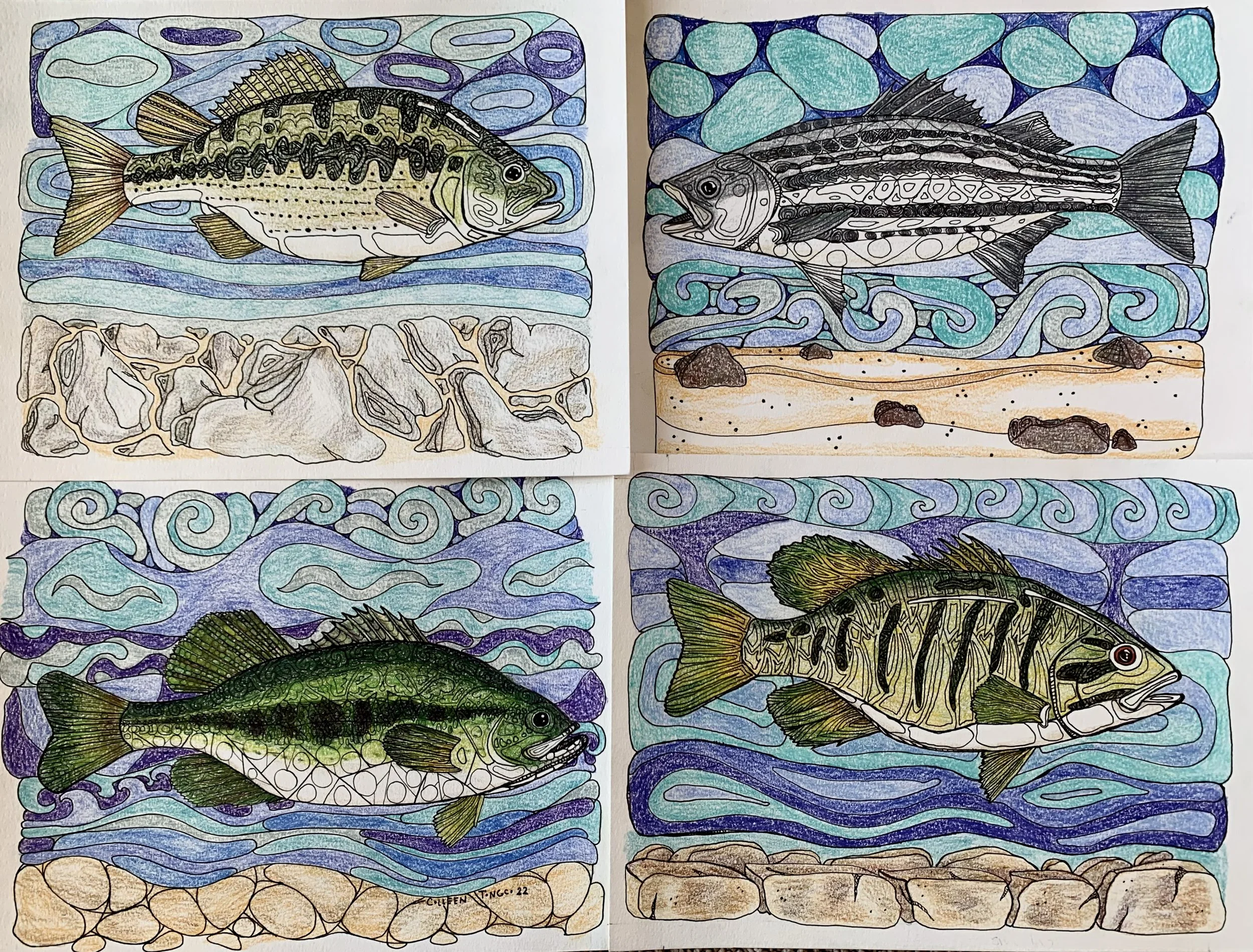 "Bass Series": Four Digital Coloring Pages