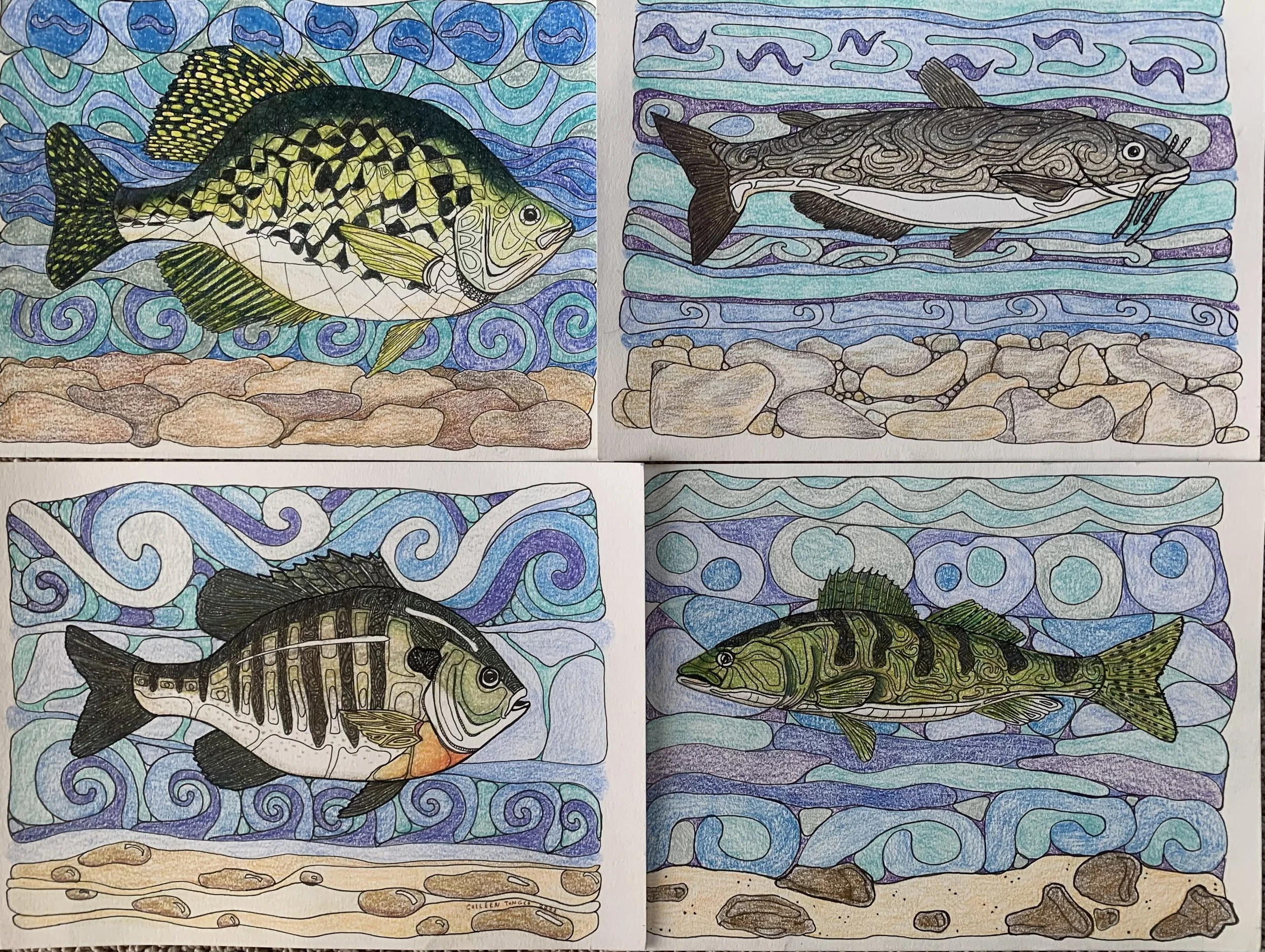 "Freshwater Fish series": Four Digital Coloring Pages