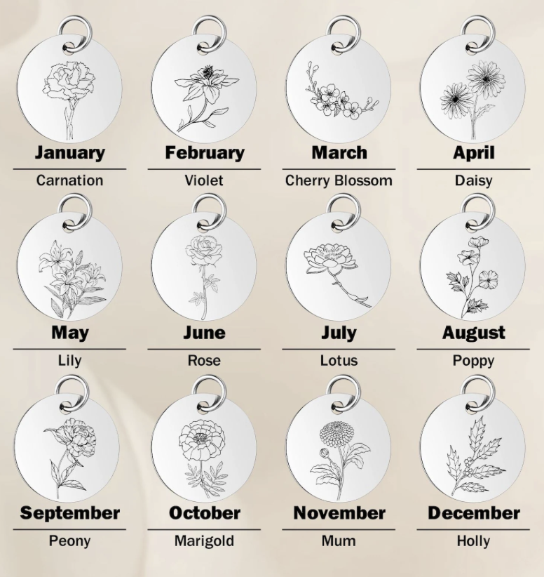 Screenshot 2025-11-06 at 2.22.20 PM.png