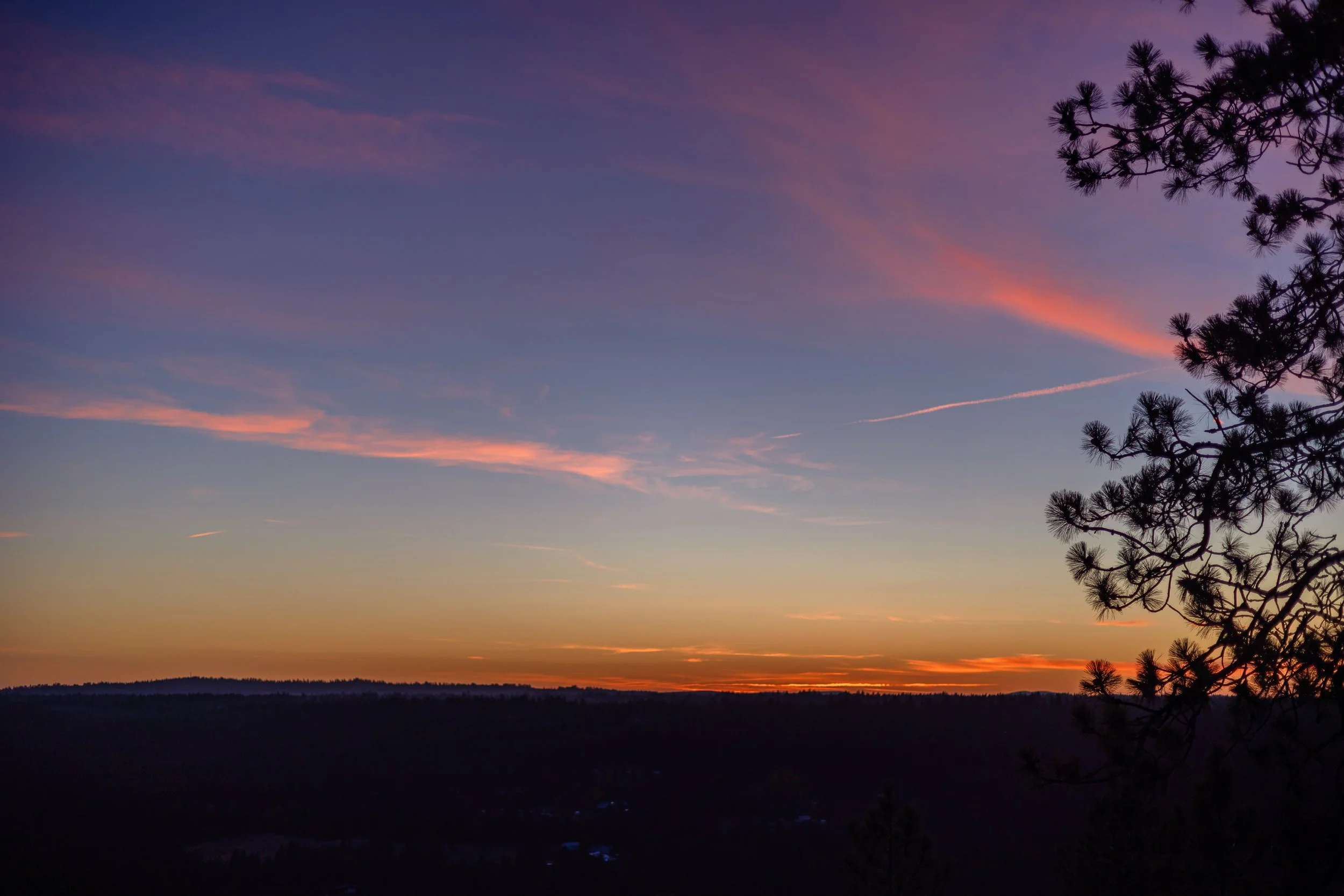 Top 15 Spokane Hidden Gem Portrait Locations