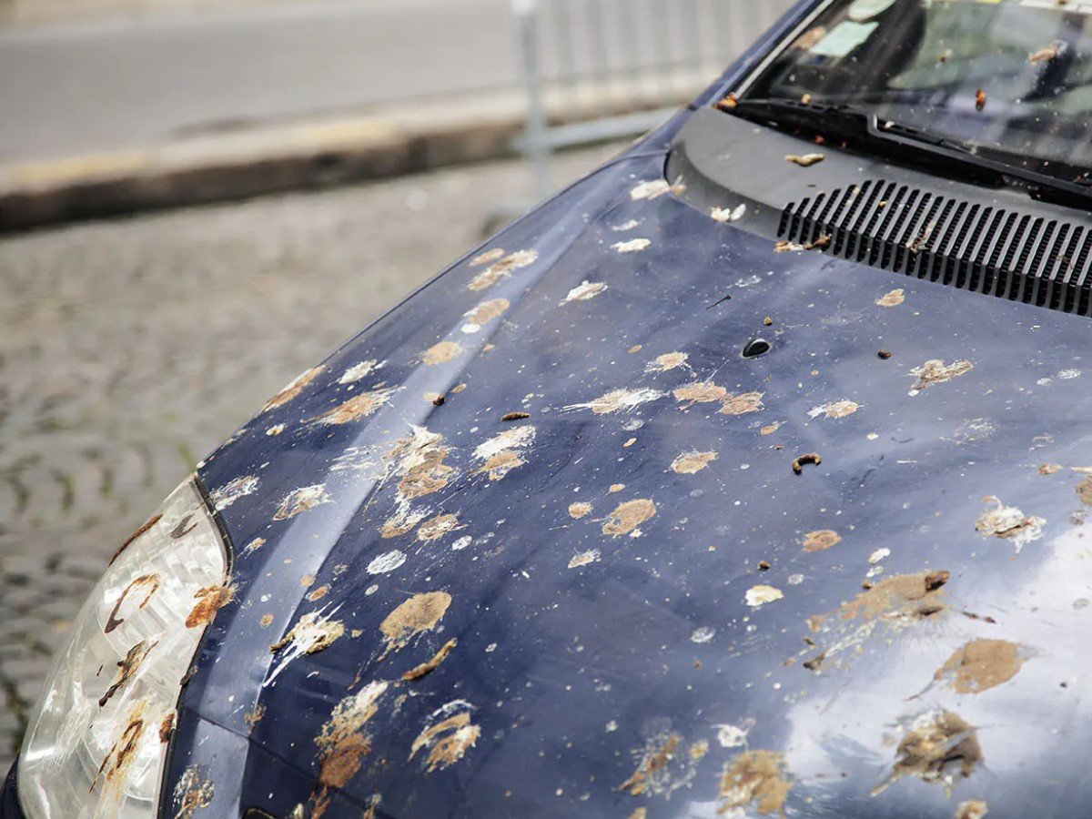 Why Does My Car Get Dirty So Fast? Mississippi Paint Truth