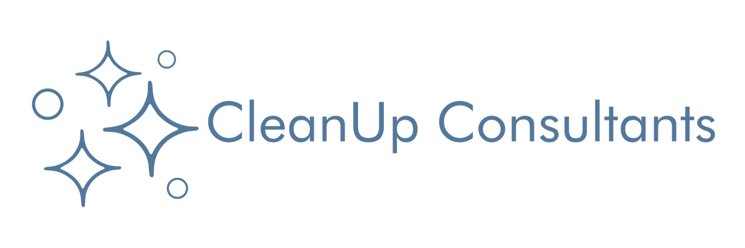 CleanUp Consultants