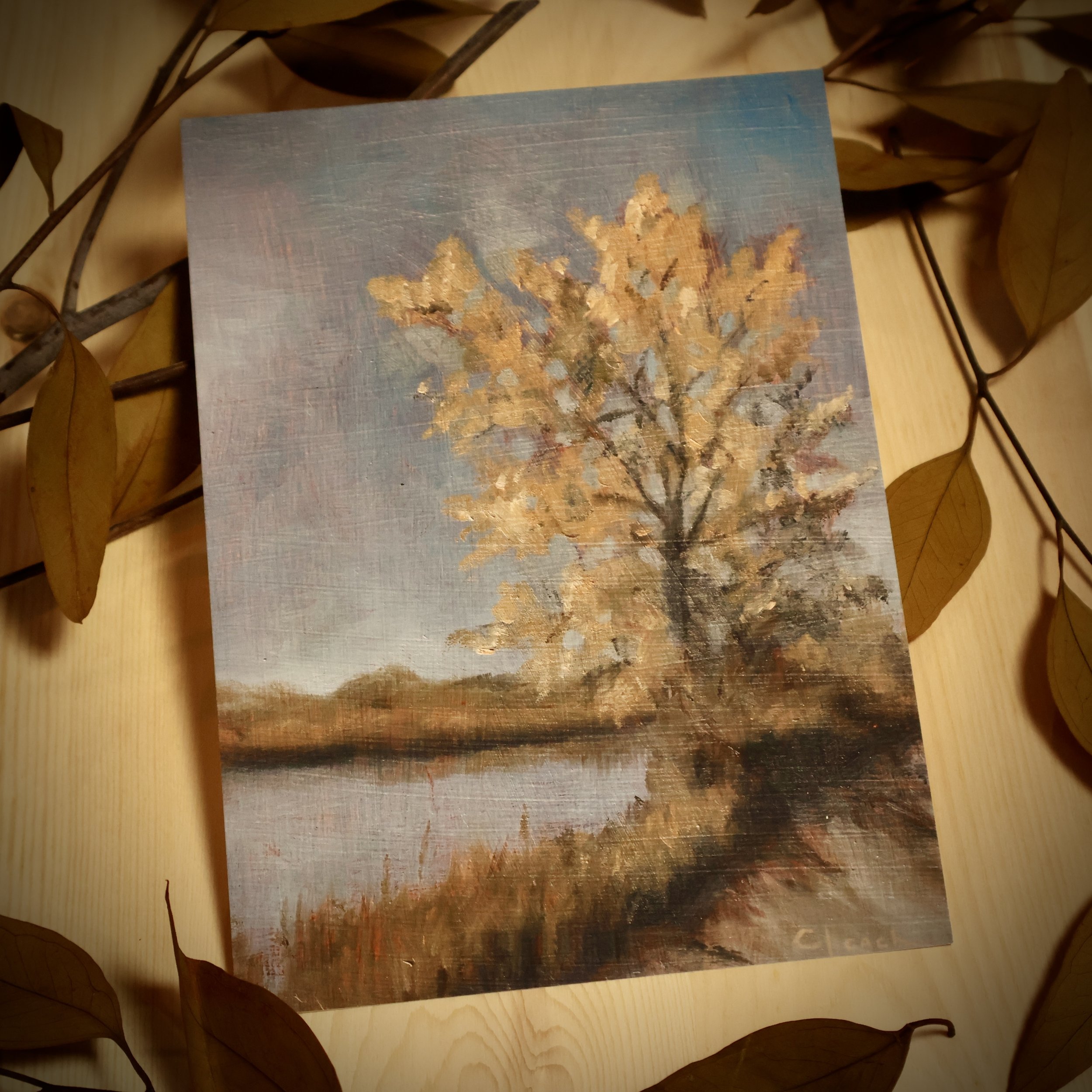Nature Study 3