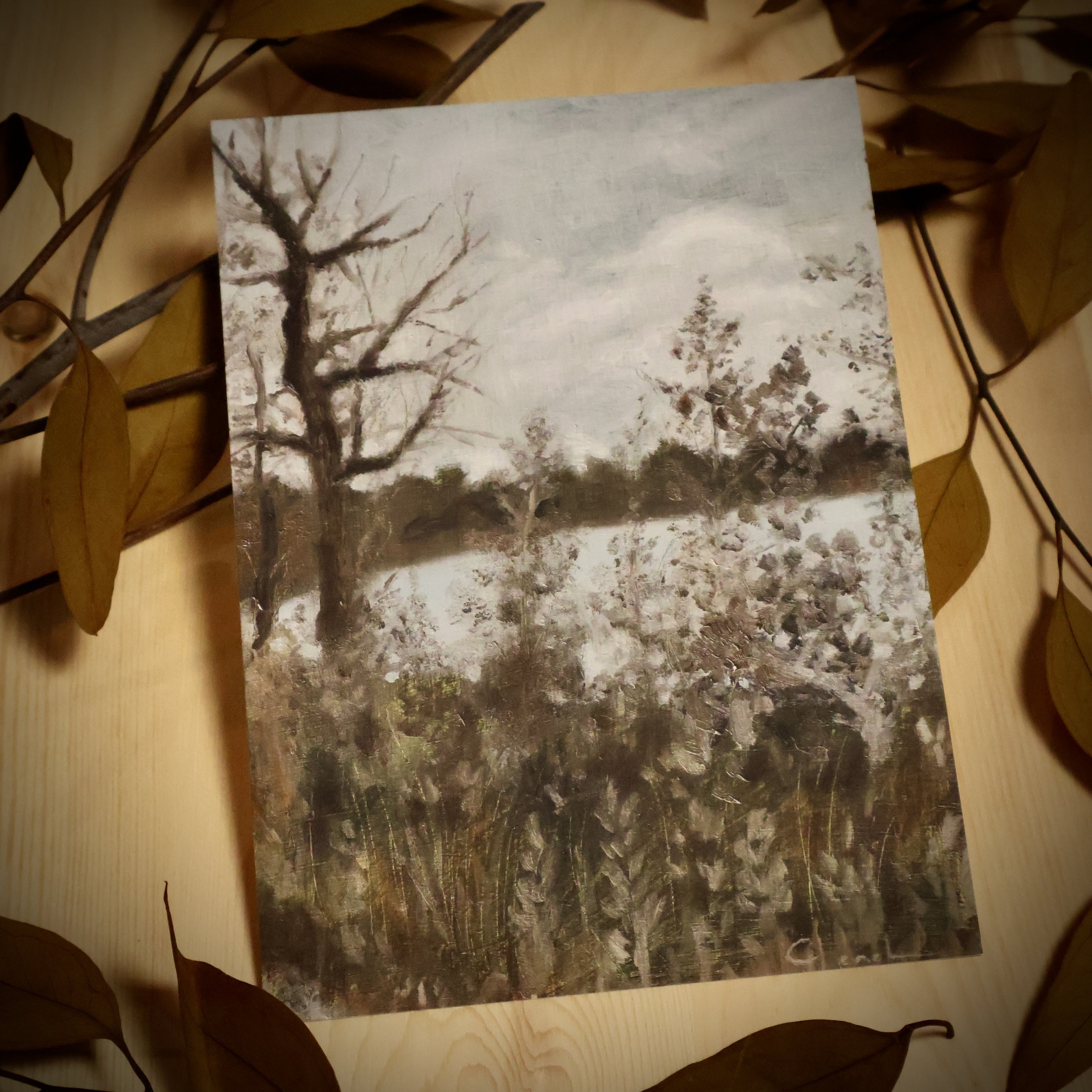 Nature Study 2