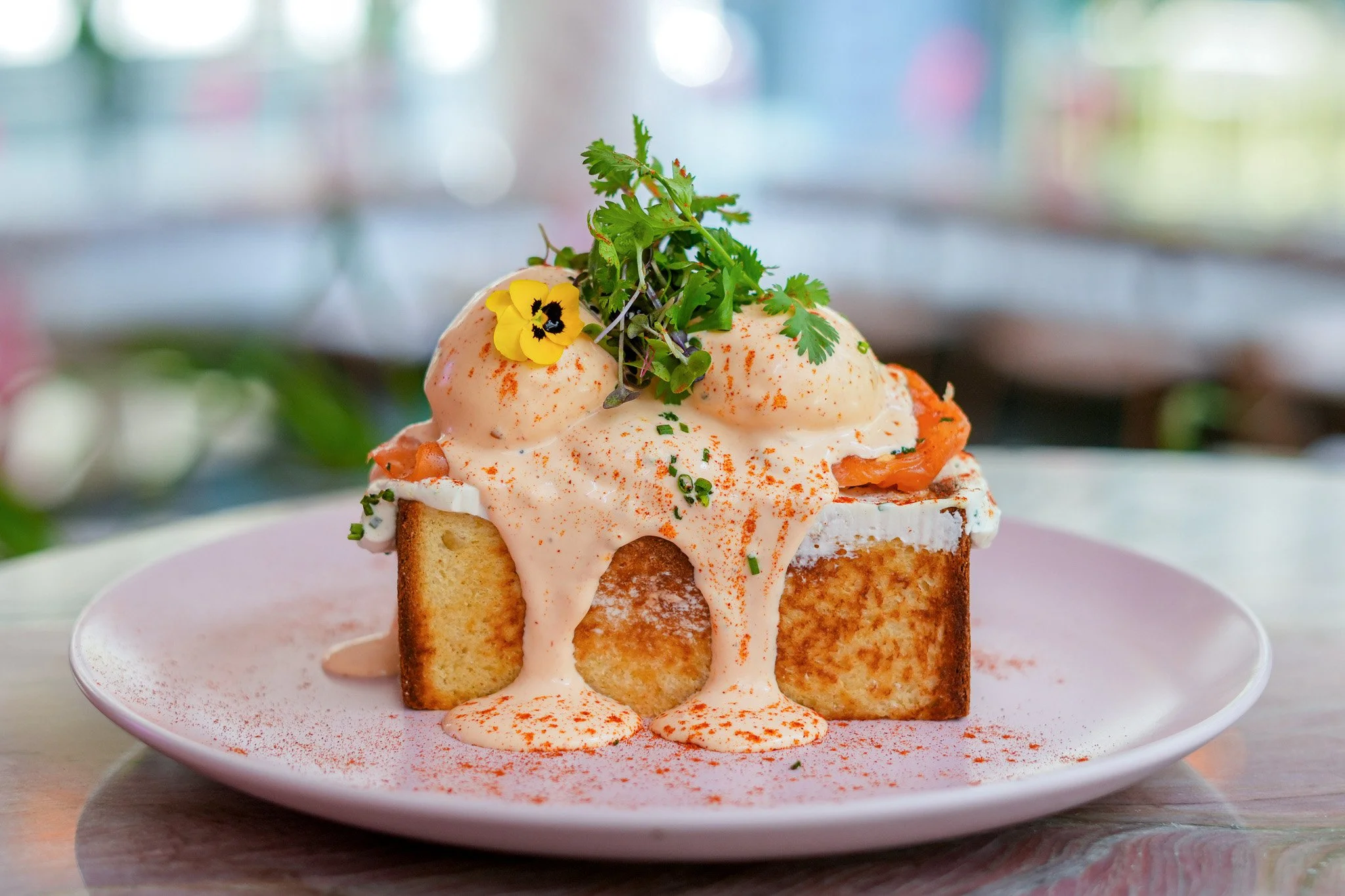 IS SALMON EXCITED_].jpg