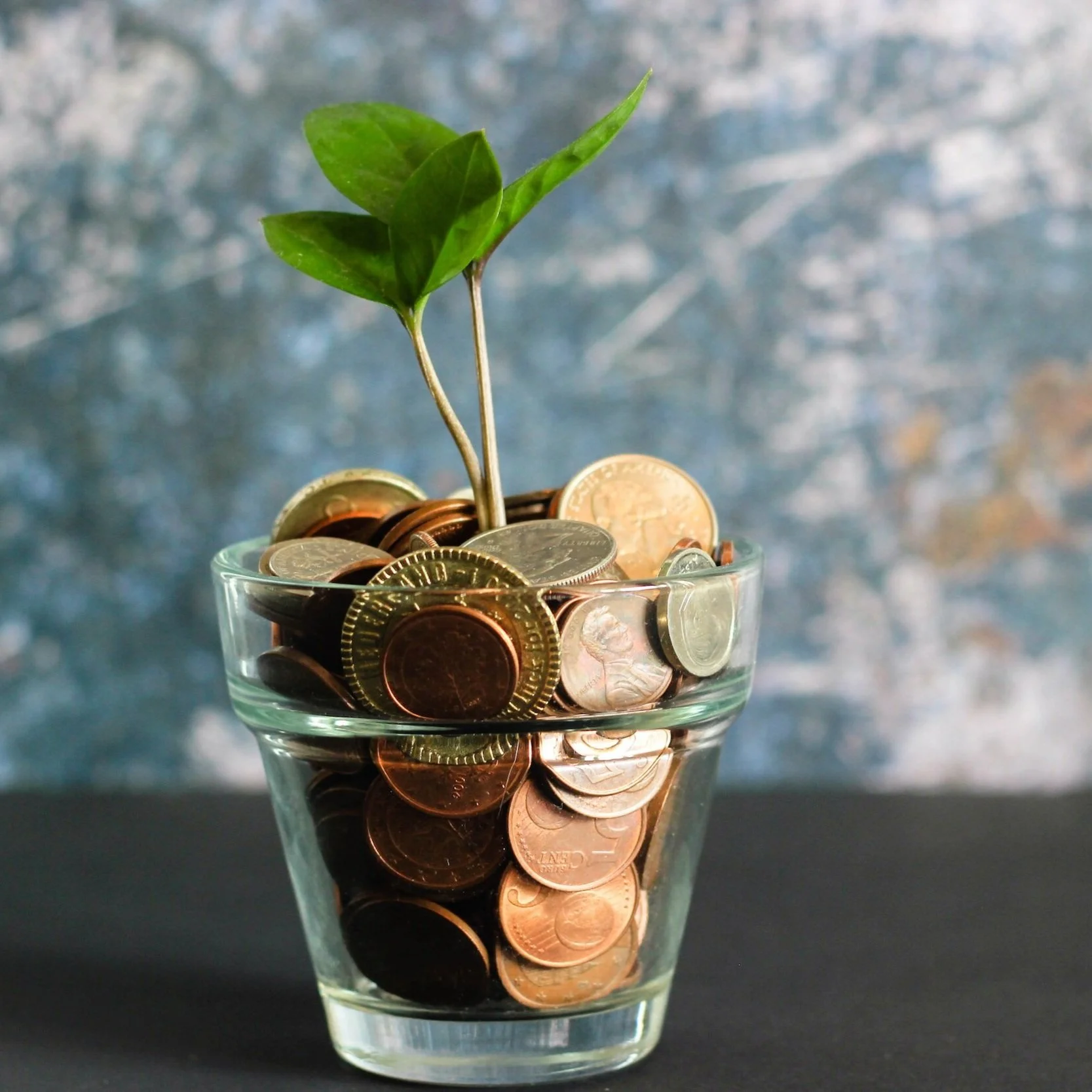 How We Approach Microgrants Through Ecosystem Support
