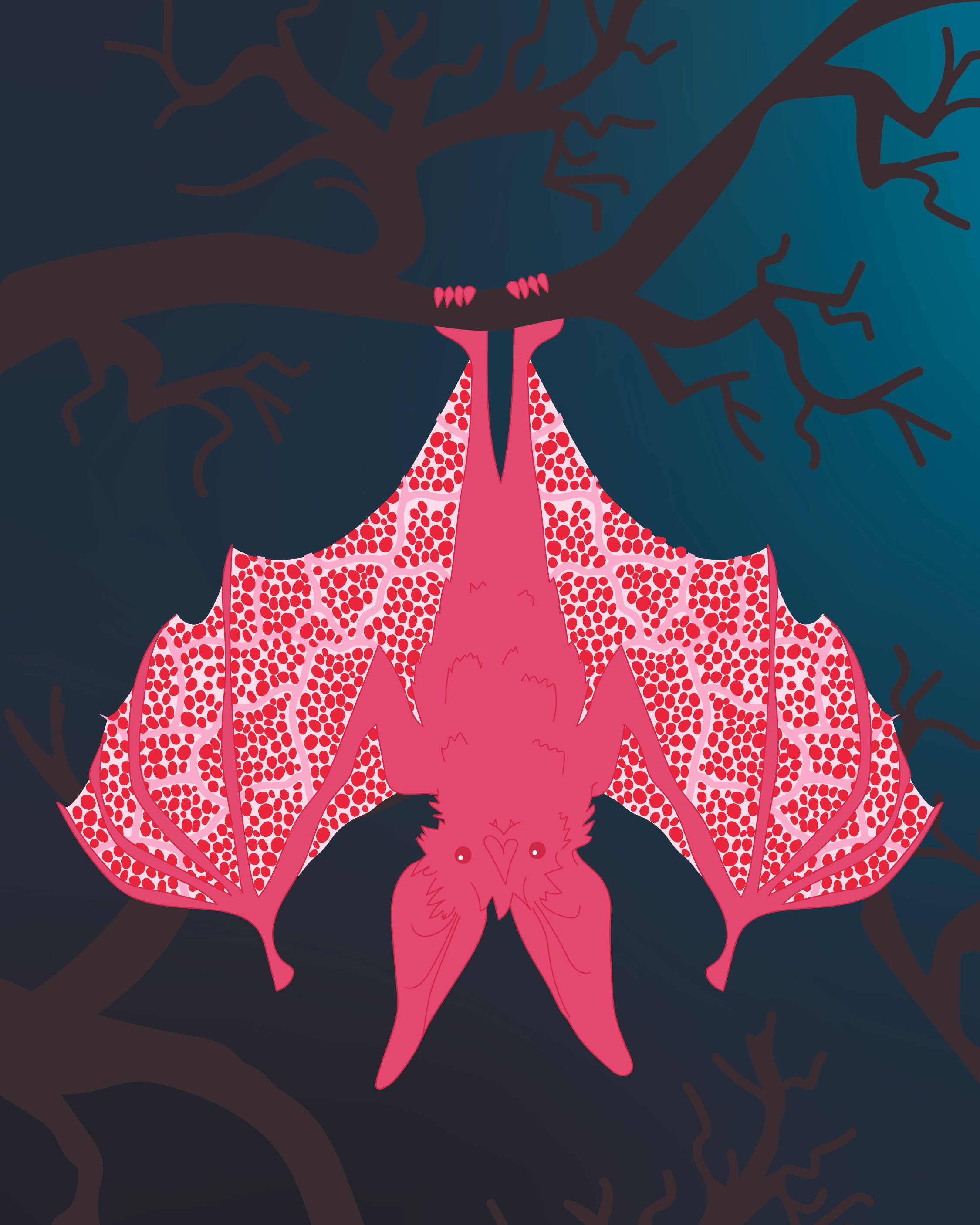 bat-01.jpg