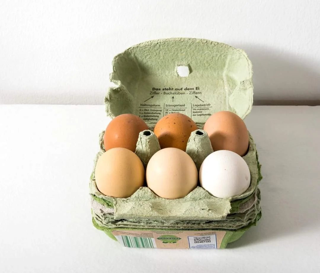 Six cells, Six eggs in an egg carton, Installation, 2023