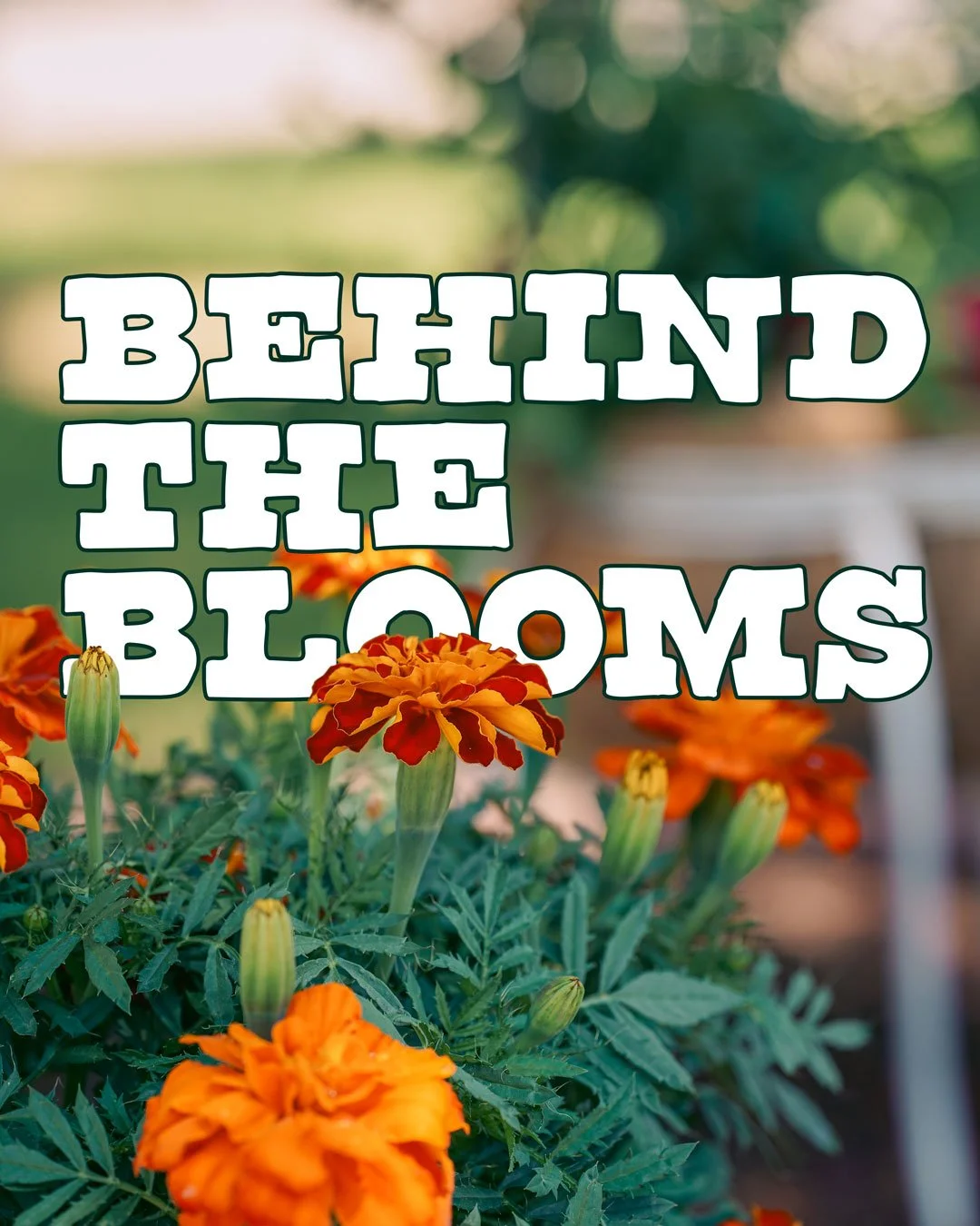 Behind the Blooms at Jim &amp; Mary’s RV Park