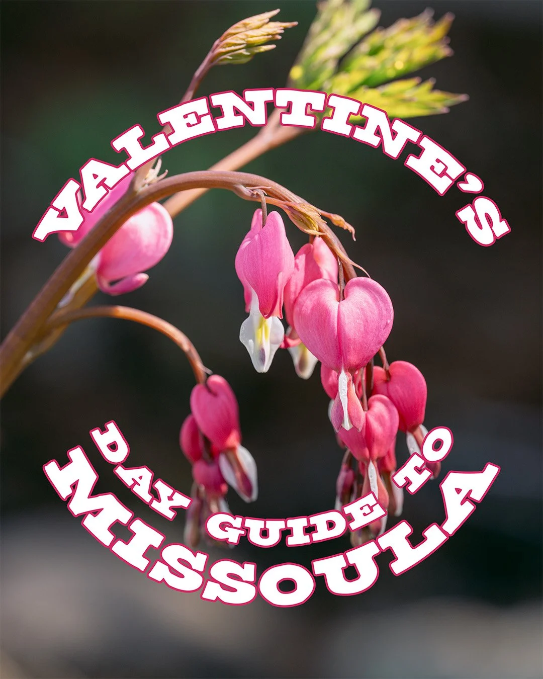 Happy Galentine's &amp; Valentine's to all of you lovely people! We have a new blogger in town by the name of Jackie (who we shall introduce in a team member highlight post later)! For now, enjoy the latest blog and head to town for some fun this wee