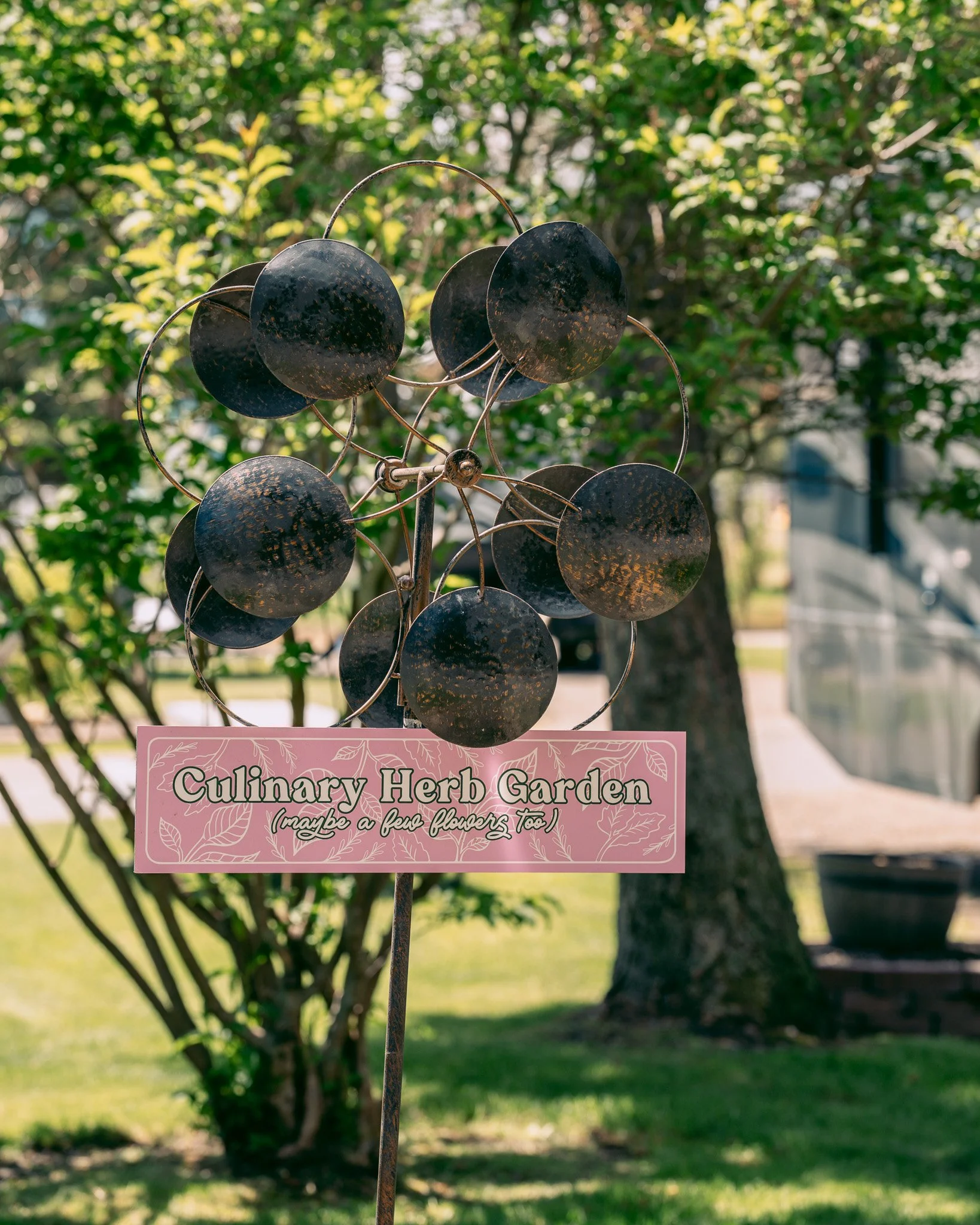 Did you know we have a culinary herb garden at the park? Guests are more than welcome to snag some herbs as needed. Especially if you're missing that one ingredient and don't want to run to town! Our entire team uses this garden for their meals. Hard