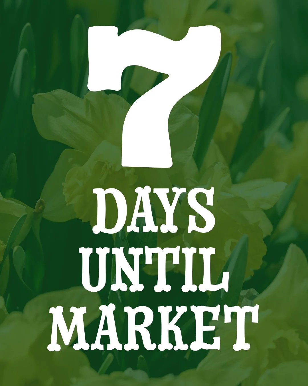 Hello, hello!! Just a reminder that the 1st market of the season is right around the corner! Are you excited?? We're excited! Can you tell? 

#lifeatjimandmarys #missoulamontana #makersmarket #missoulaartscene #wearesoexcited
