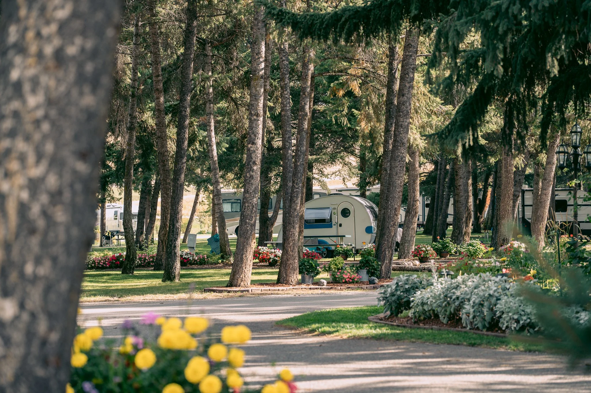 We're enjoying the sunshine filtering through the trees today, highlighting all of the colors in the park. We know this won't last since we're heading into winter eventually, but this time of year is always so beautiful. Not too hot or too cold, just