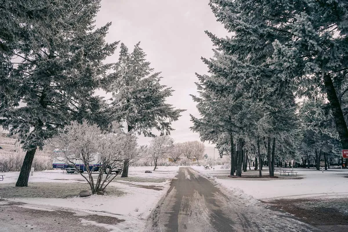 An icy road winding through the RV Park, snow covering the yards and gardens.