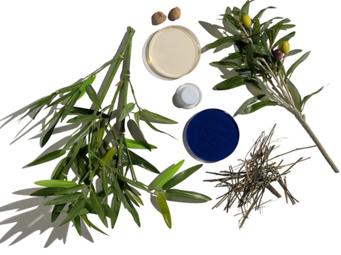 Screenshot 2024-06-20 at 11.42.41 AM.jpg