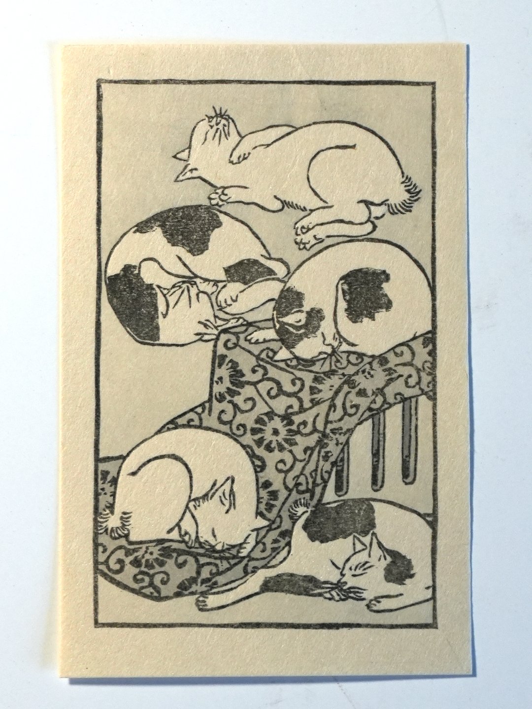 Catprint.jpg