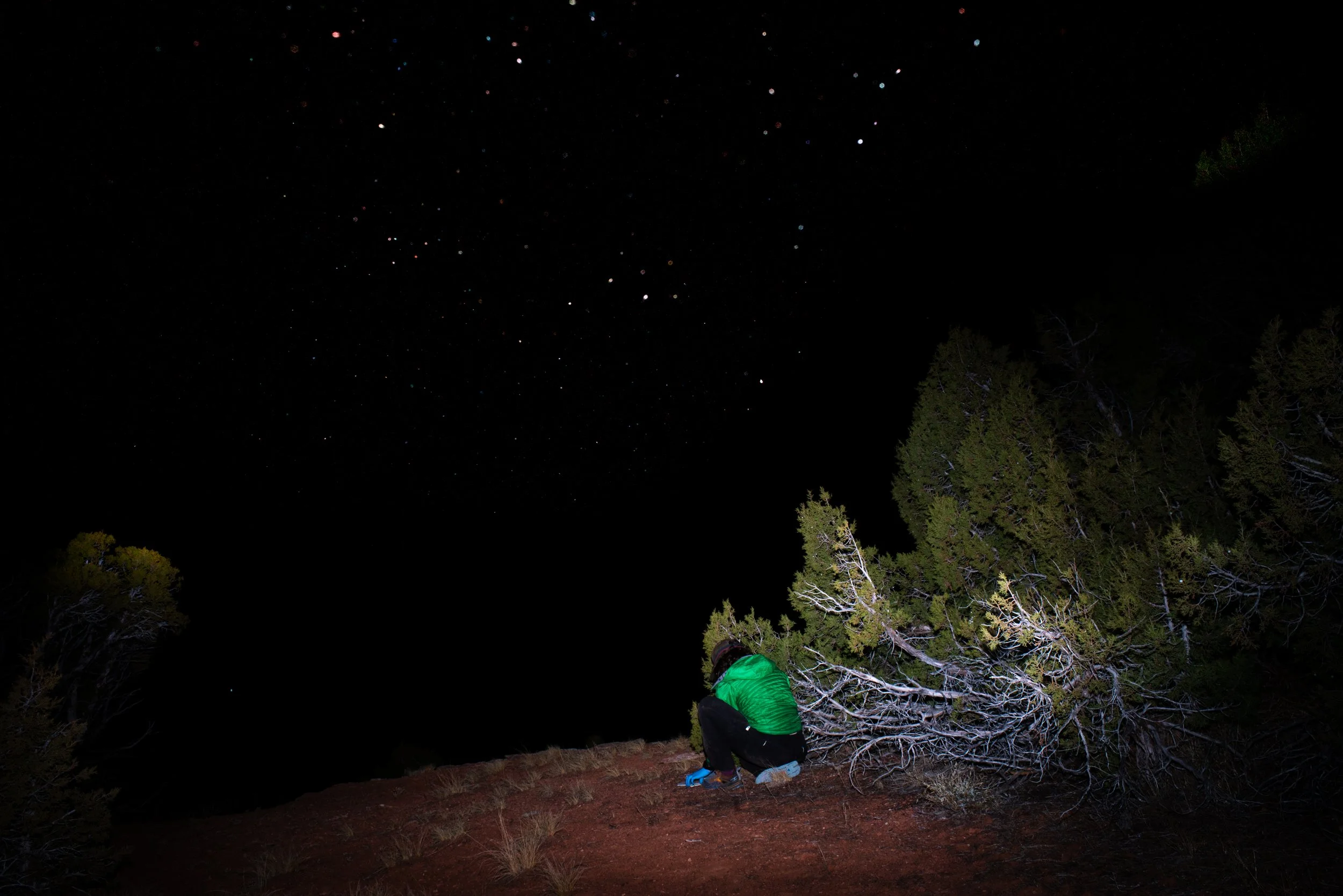 GMS07131 xx-2 copy.jpg