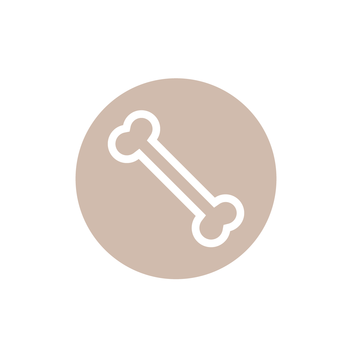 Icon of a bone inside a beige circle.