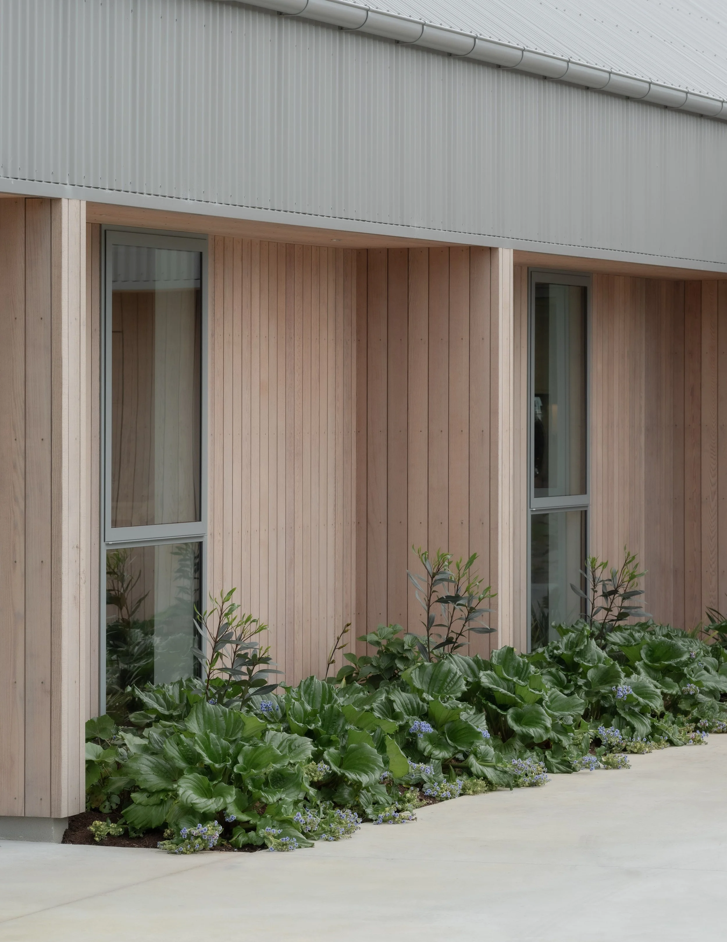 4. yokearchitects-mooreroad-biddirowley-2971.jpg