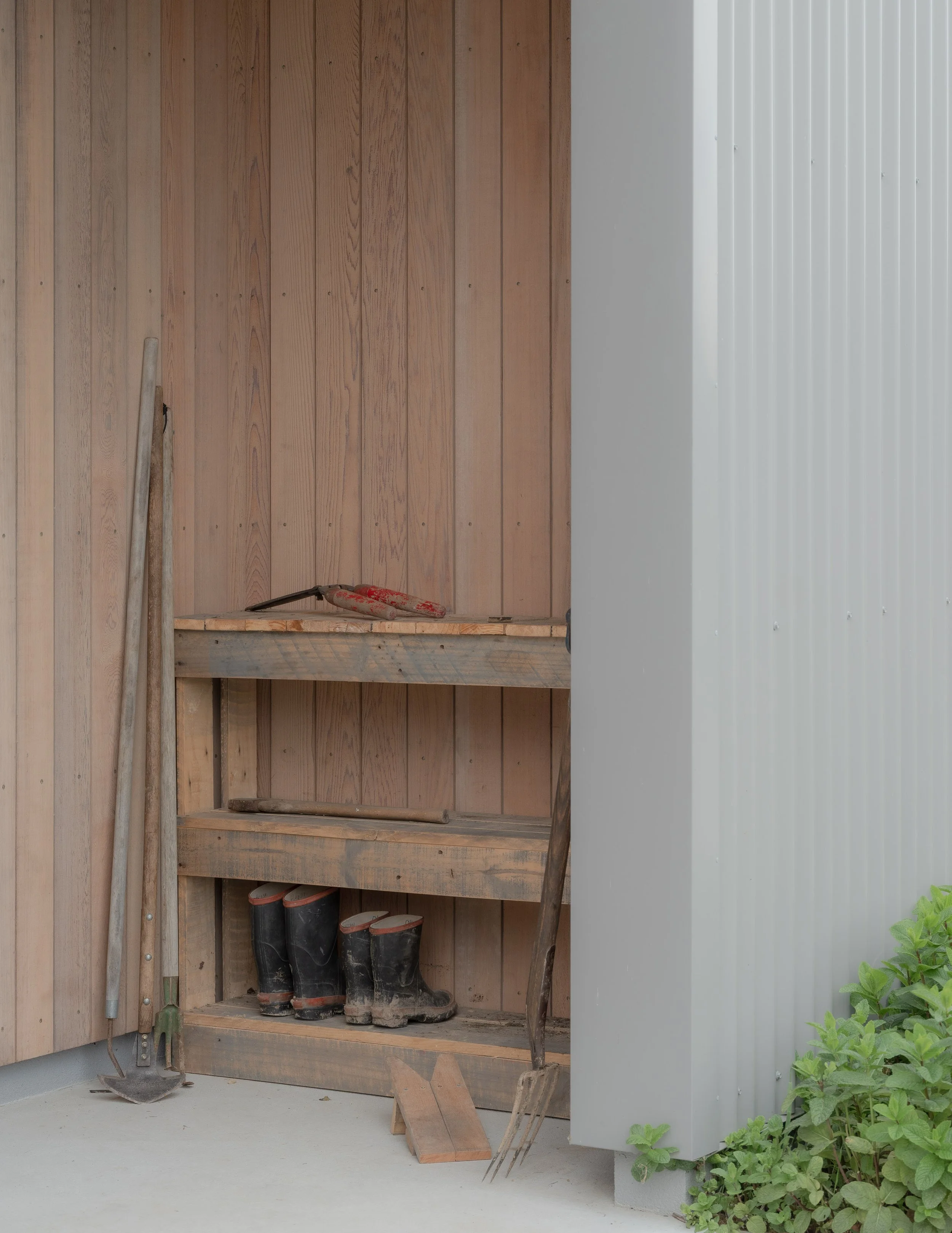 13. yokearchitects-mooreroad-biddirowley-3202.jpg