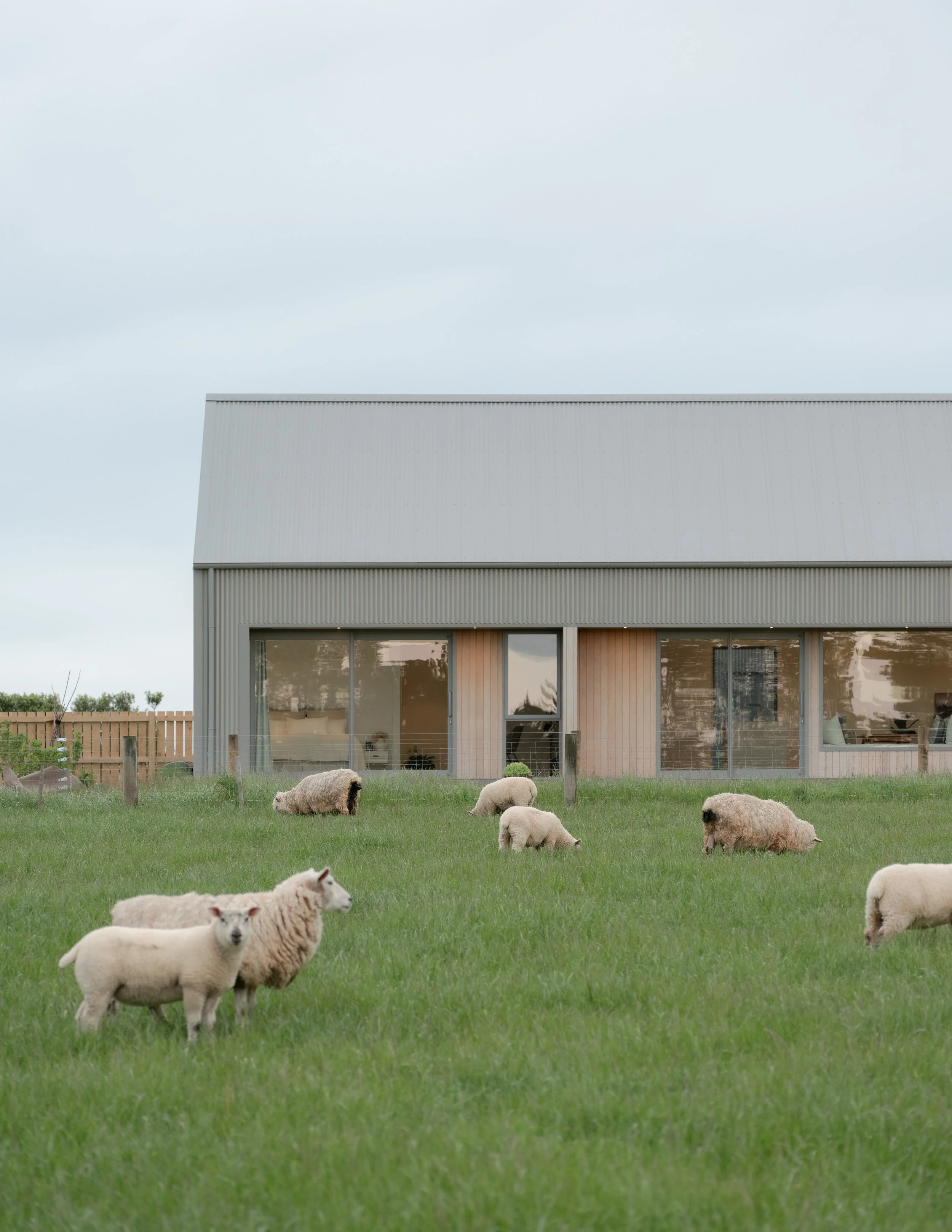 14. yokearchitects-mooreroad-biddirowley-3142.jpg