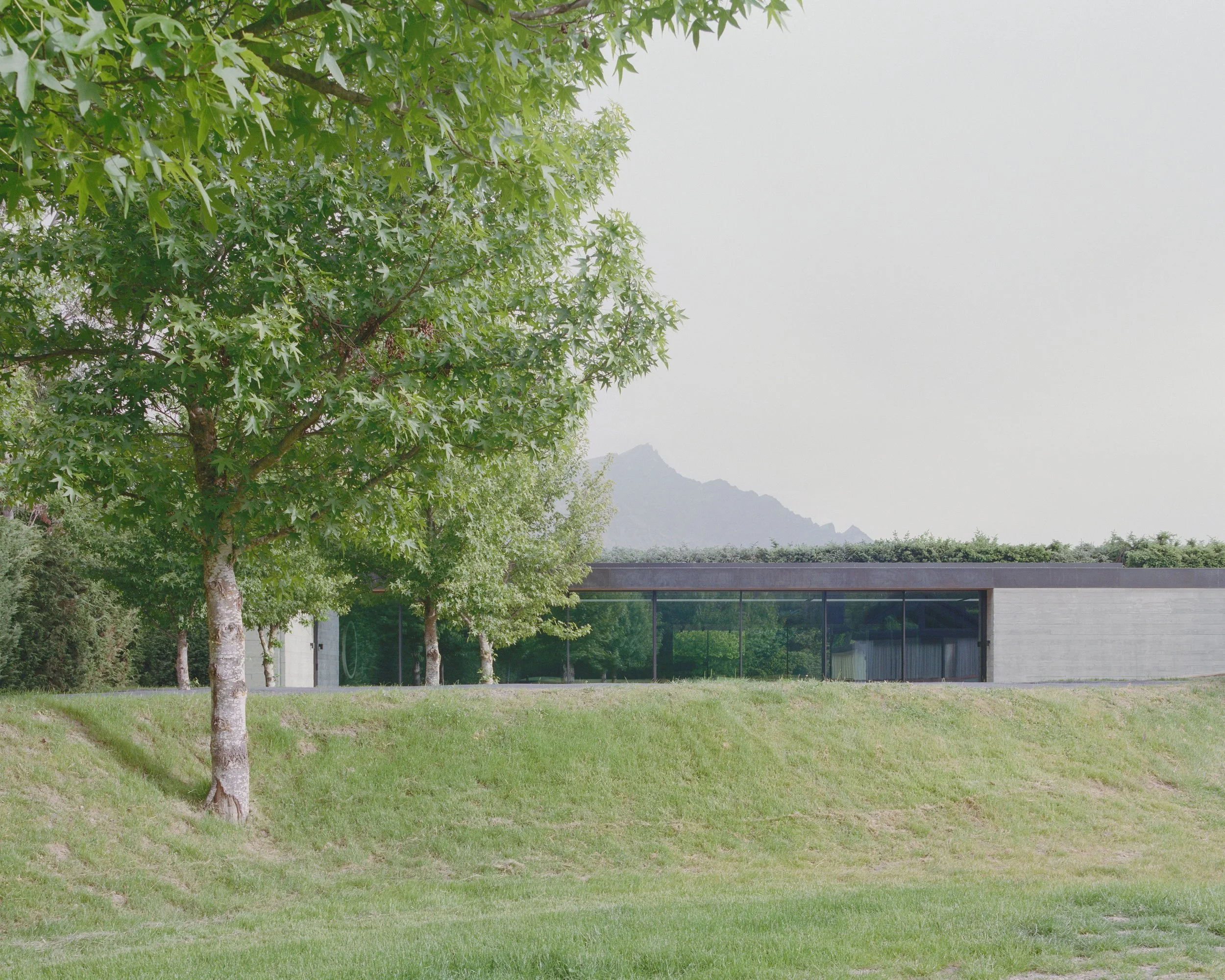 contemporary design house new zealand