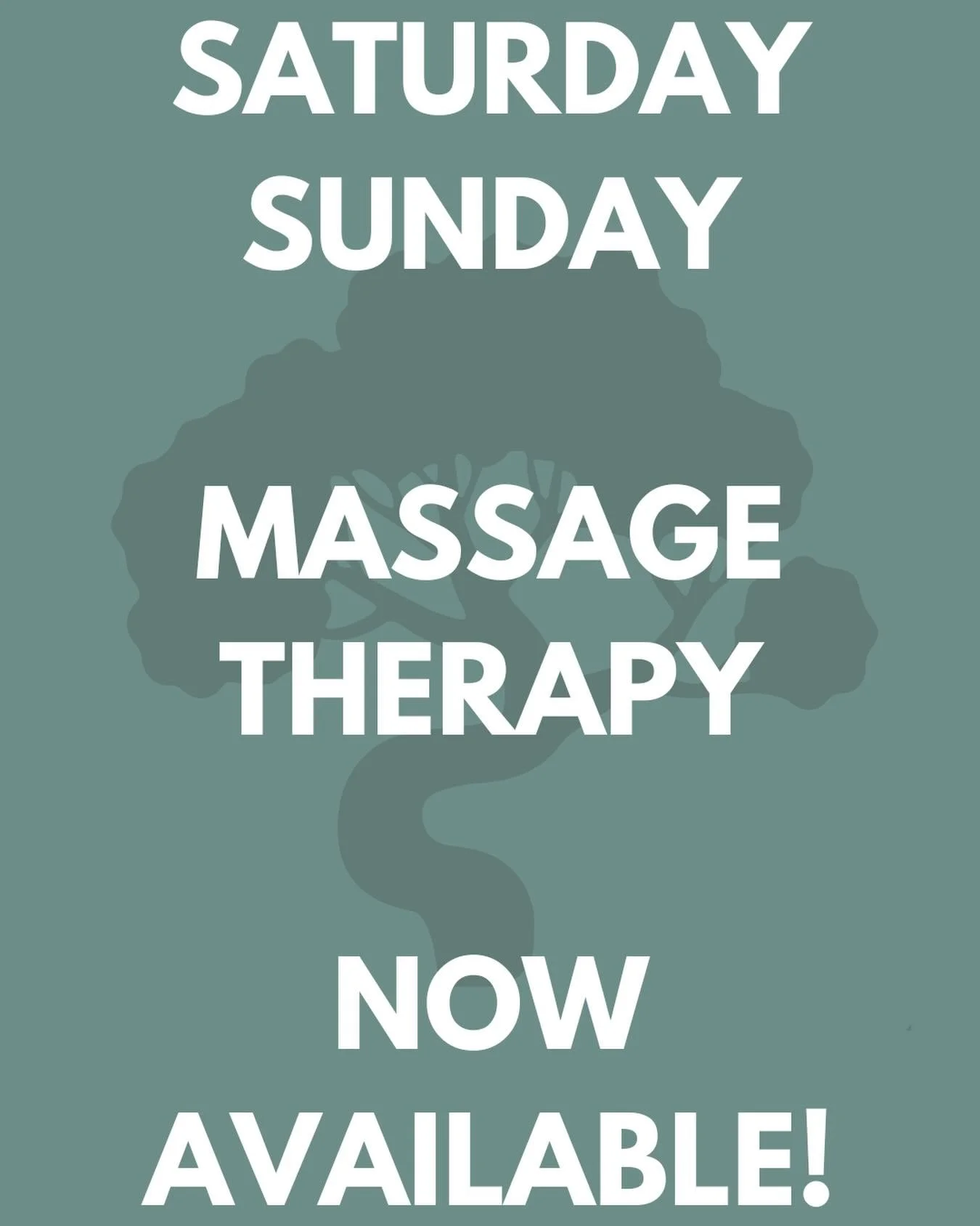 We&rsquo;ve added&nbsp;20+ extra weekend hours&nbsp;for massage therapy! 🙌

Book your appointment with&nbsp;Zaid or Venetia&nbsp;before availability fills up!

&nbsp;Saturdays &amp; Sundays are now open!
🐼🐼🐼