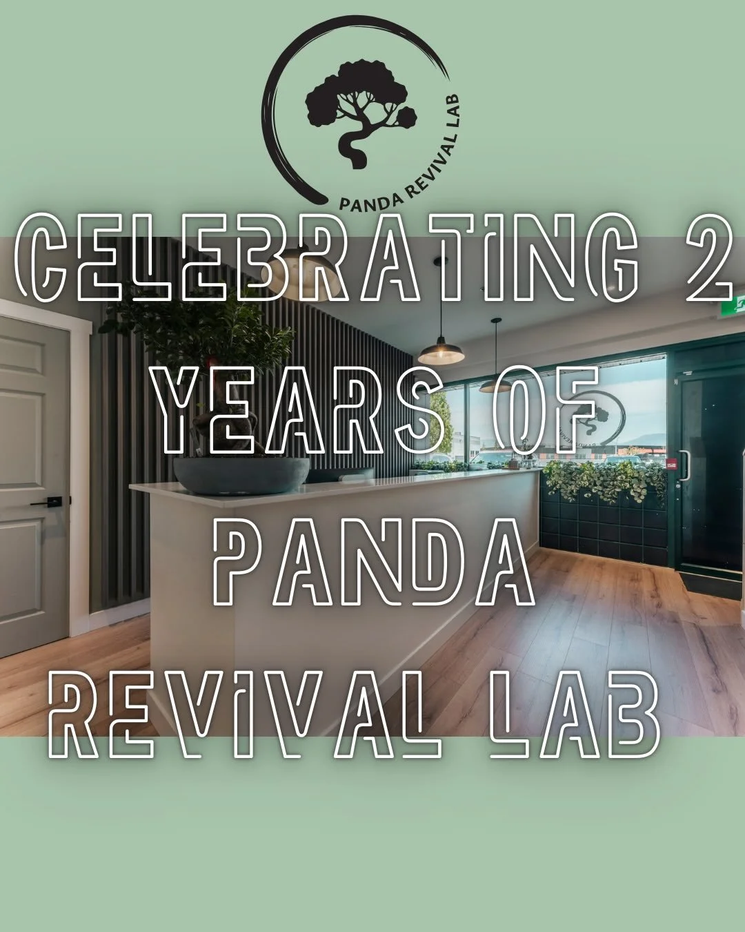 🐼 2 YEARS OPEN &amp; SO MUCH GRATITUDE&nbsp;🐼 

Today we&rsquo;re celebrating&nbsp;2 years of being open for business, and honestly&hellip; we wouldn&rsquo;t be here without&nbsp;you.

To every patient who trusted us with their care, referred a fri