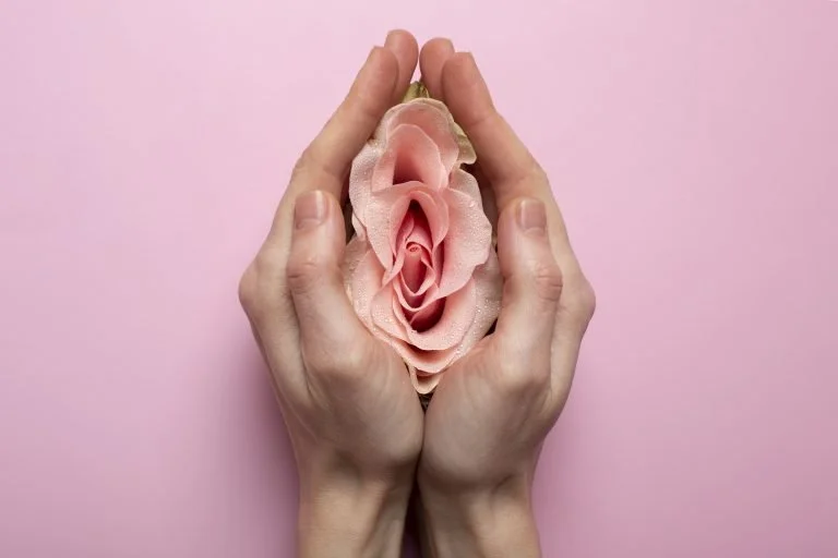 Woman holding a pink flower in front of her pelvis, symbolizing menstrual cycle and hormone balance support