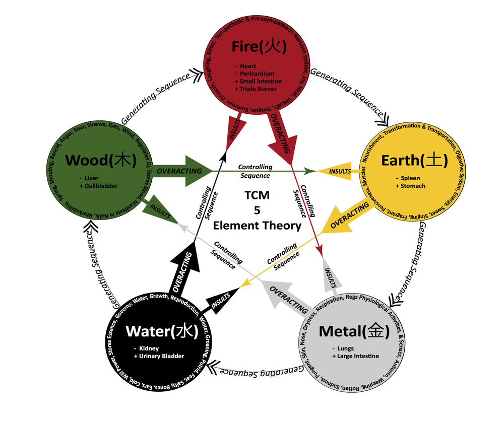 Five element theory chart used in acupuncture at Panda Revival Lab in Surrey