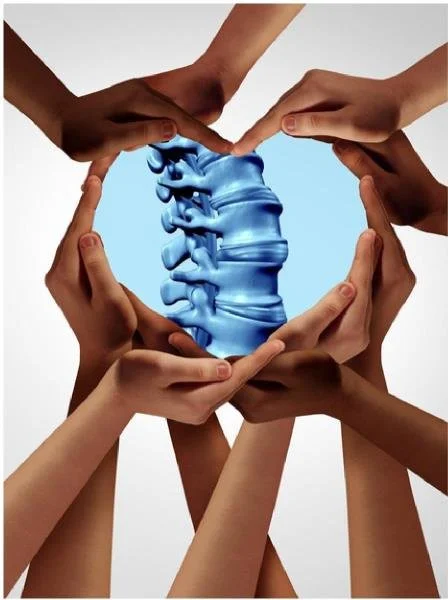 Hands forming a circle around an illustrated human spine, representing chiropractic care