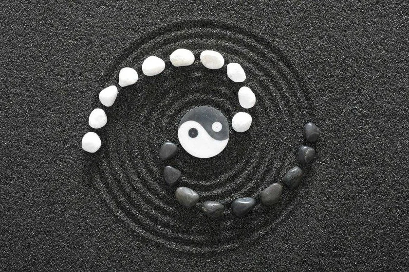 Traditional Chinese medicine acupuncture treatment at Panda Revival Lab in Surrey