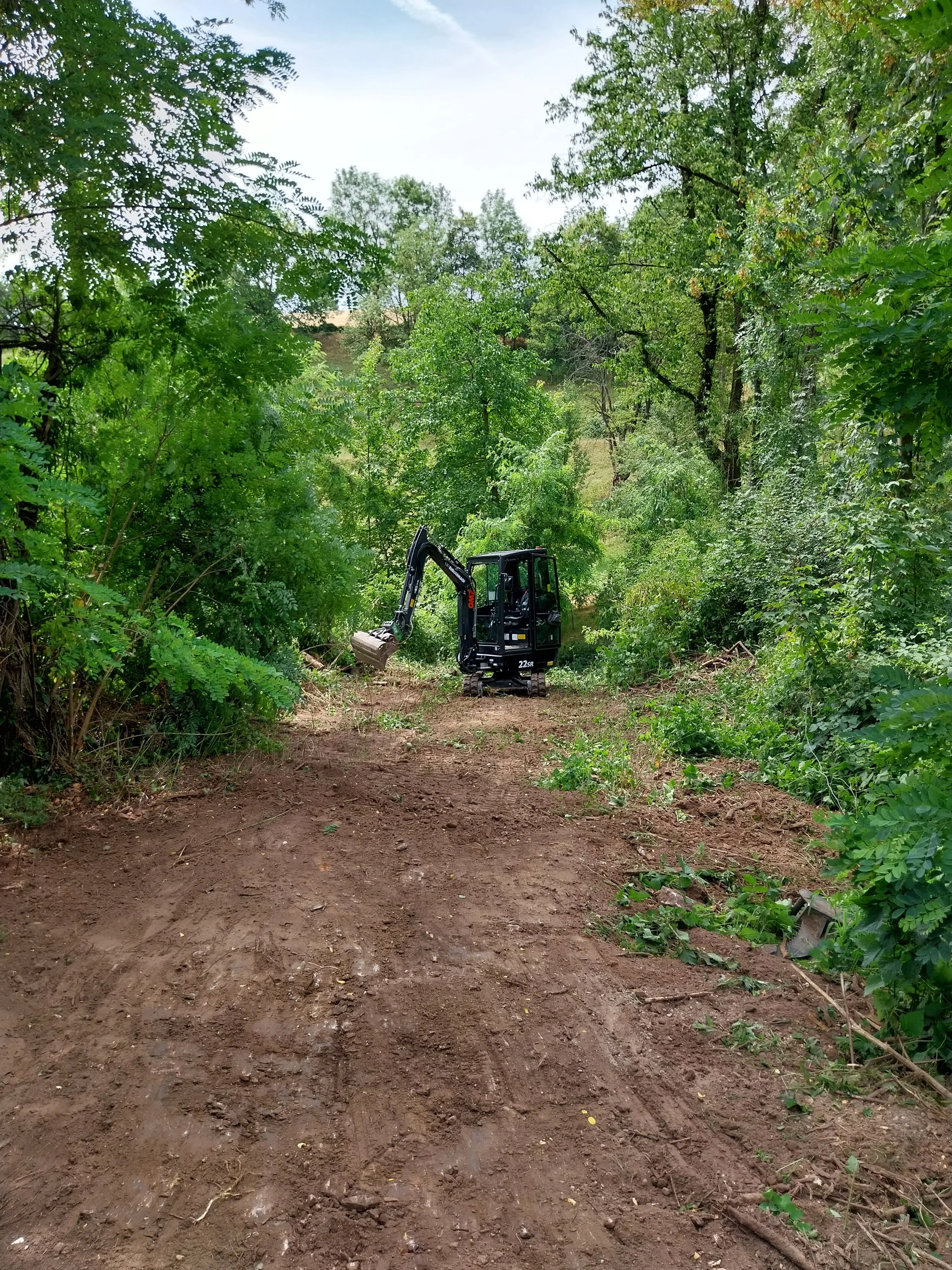 20230714_111811.jpg