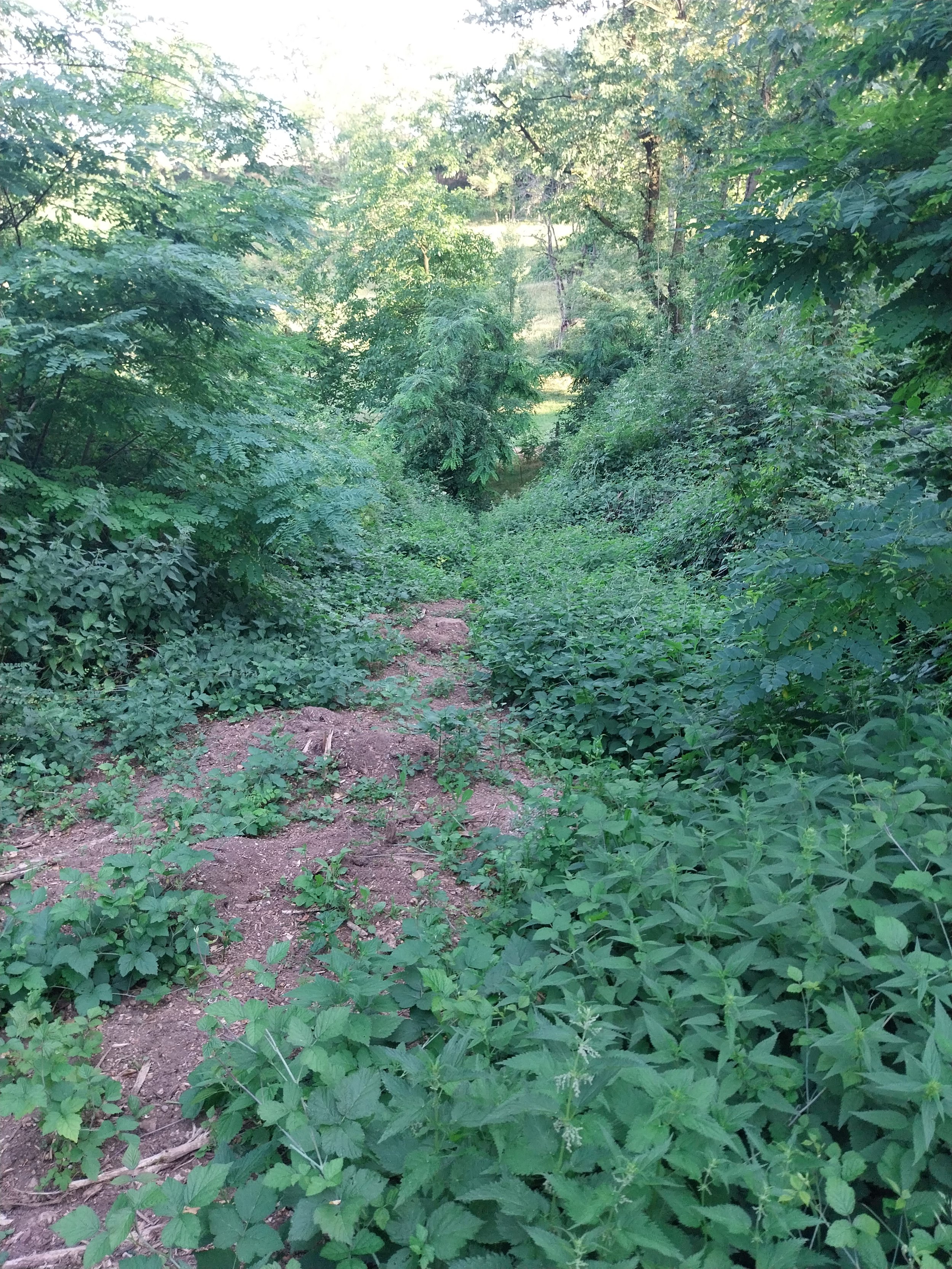 20230706_190707.jpg