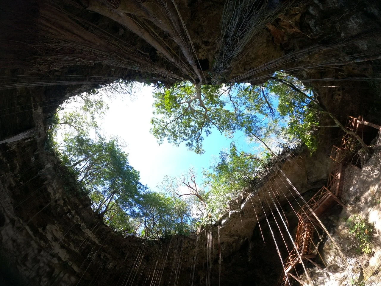 typical yucatan open Cenote