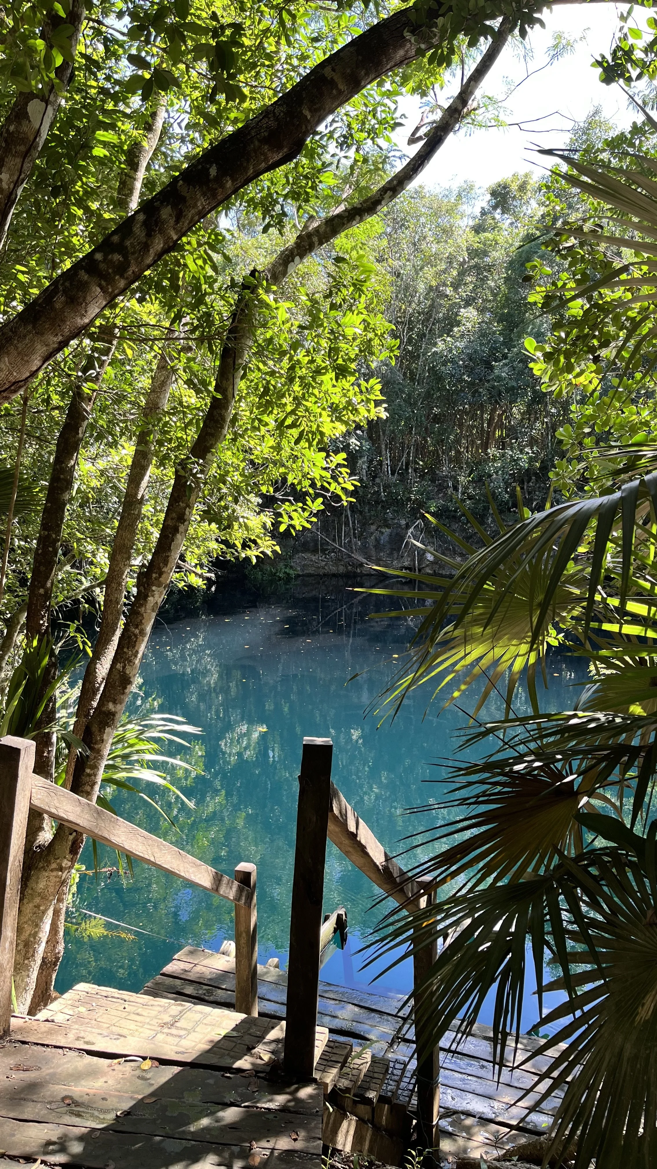 Open Cenote Angelita