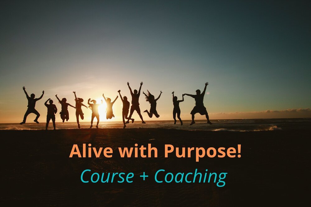 AWP+Course+++Coaching+image.jpg